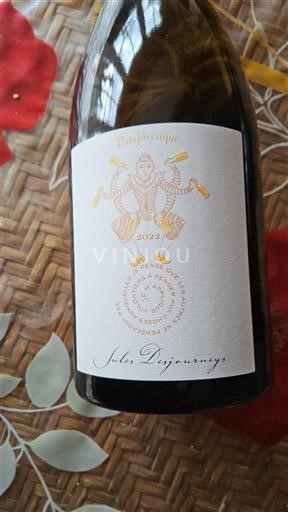 Божоле Jules Desjourneys Pataphysique 2022