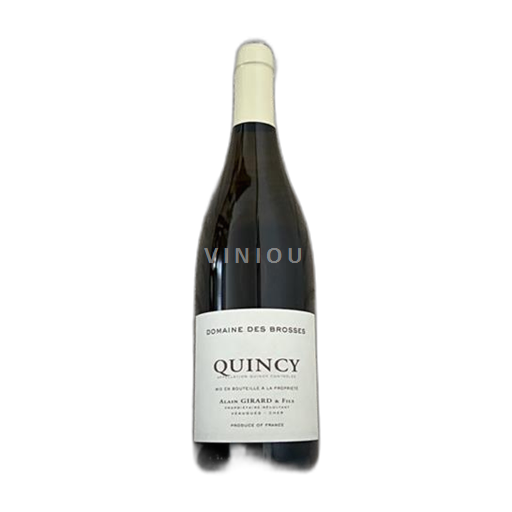 Vallée de la Loire Quincy Domaine S Brosses 2024