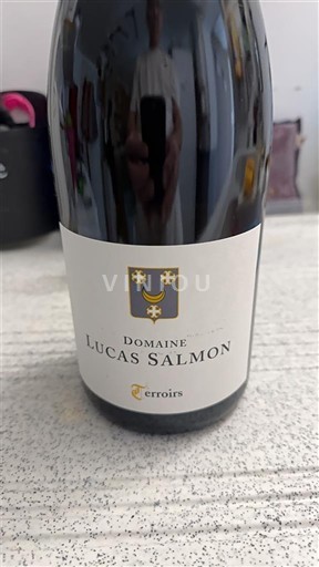 Bordeaux Domaine Lucas Salmon Terroirs 2023