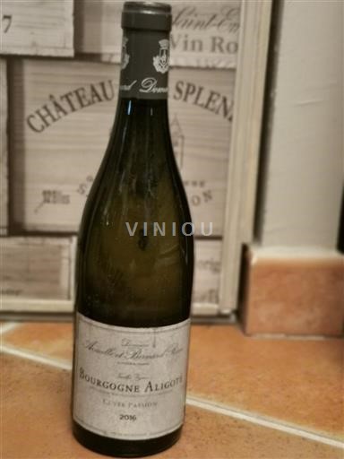Bourgondië Bourgogne Aligoté Domaine Armelle et Bernard Rion Passion 2016