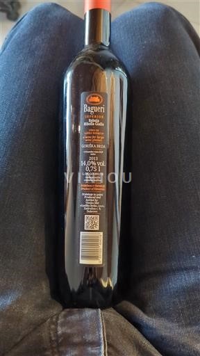 Primorska Brda Baqueri 2013