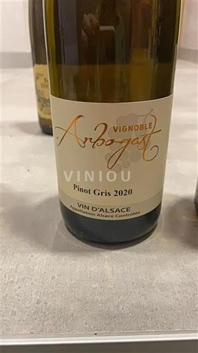 Elsass Vignoble Arbogast 2020
