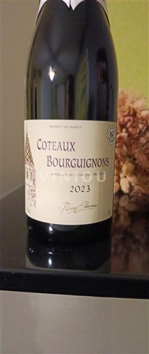 Burgundy Coteaux Bourguignons Pierre André 2023