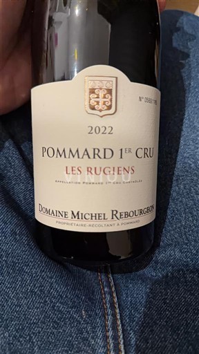 Bourgogne Premier Cru Domaine Michel Rebourgeon Les Rugiens 2022