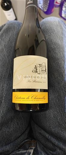 Burgundija Montagny Premier Cru Château Chamilly Les Burnins 2018