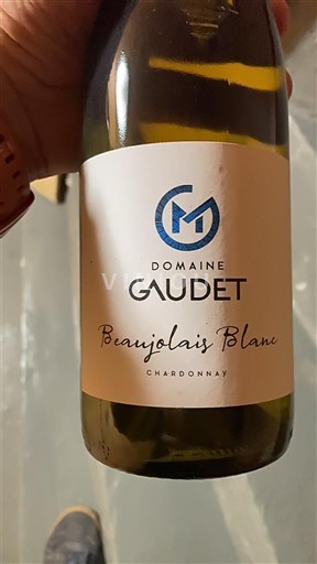 Beaujolais Ikke specificeret Domaine Gaudet 2023