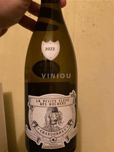 Vinhos Blanc sec La Petite Fleur des Rochers Domaine Clos des Rocher 2022 França Vale do Loire IGP