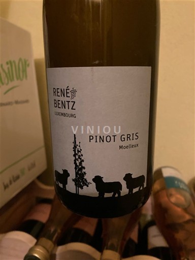 Luksemburška Mosela René Bentz 2022