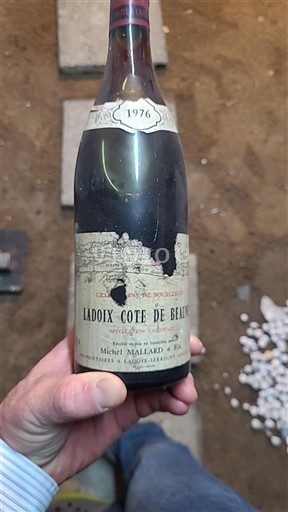 Borgogna Ladoix Michel Mallard 1976