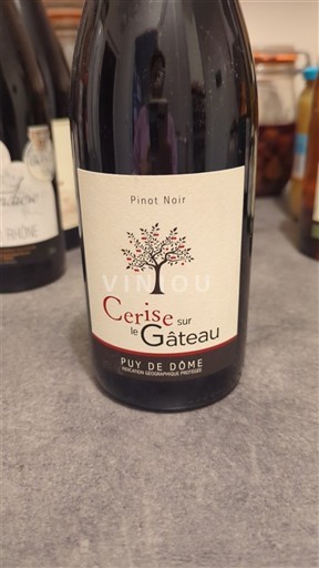 Loire Valley Puy-de-Dôme Cerise sur le Gâteau Pinot Noir 2018
