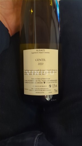 Elsass Louis Scherb & Fils Gentil 2020