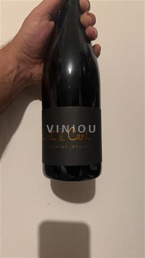 Borgogna Domaine Brunet Cent pour Cent Senza annata