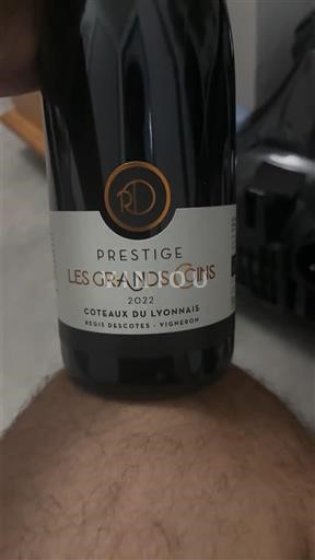 Rượu vang Rouge sec Prestige Les Grands Coins Rémi Descotes 2022 Pháp Lyonnais Đồi Lyonnais AOC