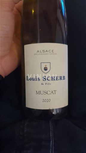 Elsass Louis Scherb & Fils Muscat 2020
