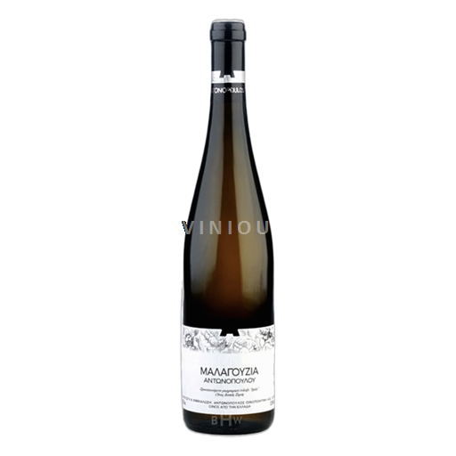 Vini Blanc sec Malagouzia K. Antonopoulos 2022 Grecia Peloponneso Non specificato