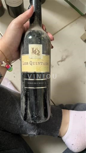 Maipo Valley Maipo Central Los Quintanos Non Millésimé