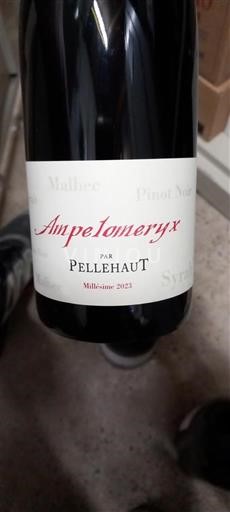 Sydvestfrankrig Côtes de Gascogne Domaine Pellehaut Ampelomeryx 2023