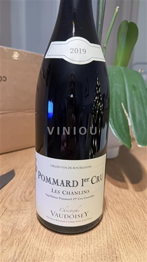 Borgoña Pommard Premier Cru Domaine Vaudoisey Les Chanlins 2019