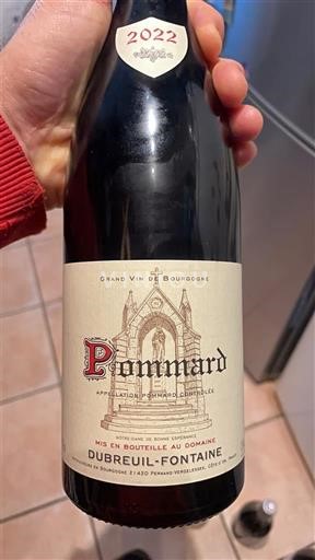 Bourgogne Pommard Dubreuil-Fontaine 2022