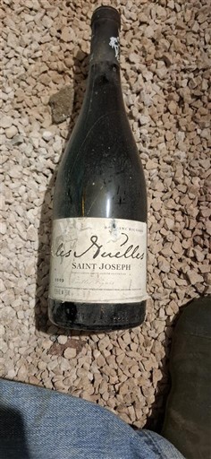 Rhônedalen Saint-Joseph Domaine RICHARD Les Irrélles 2009