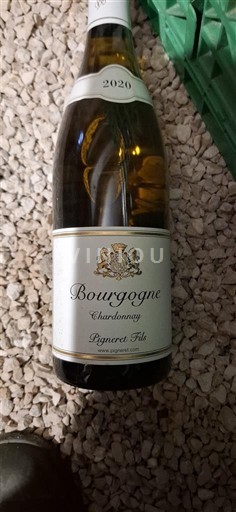 Bourgogne Bourgogne Chardonnay Pigneret Fils 2020