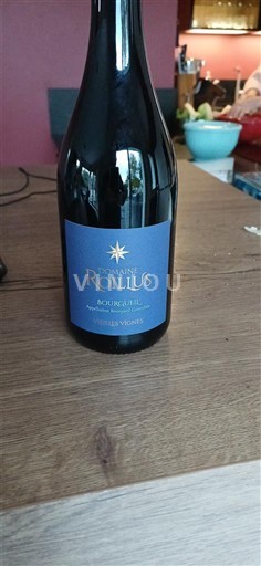 Loiren laakso Bourgueil Domaine Roullus Vieilles Vignes 2021