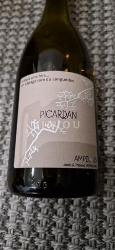 Languedoc Ampelhus Picardan 2023