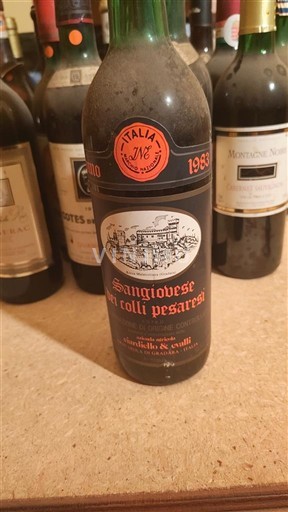 Vin Rouge sec Gabrielli & Giusti 1983 Italie Marche Colli Pesaresi DOC