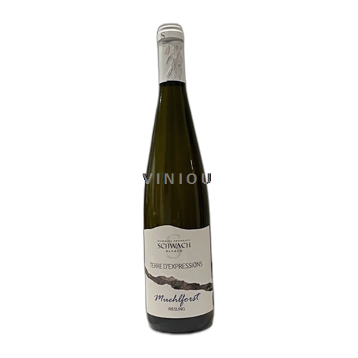 Alsácia Riesling Domaine François Schwach Terre d'Expressions Muehlforst Não Sazonado