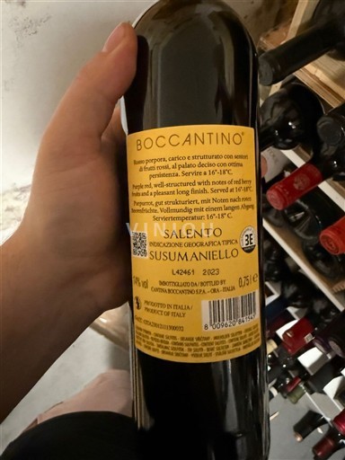 Apulien Susumaniello Salento Boccantino 2023