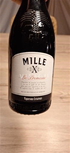 Vale do Ródano Costières de Nîmes Costières de Nîmes Mille X La Promesse 2021