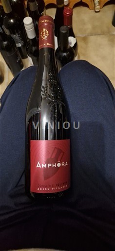 Vale do Loire Anjou Villages Jolivet Amphora 2018
