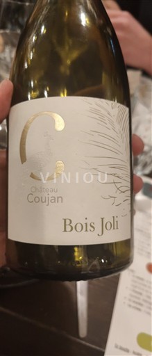 Languedoc Saint-Chinian Château Coujan Bois Joli Non Millésimé