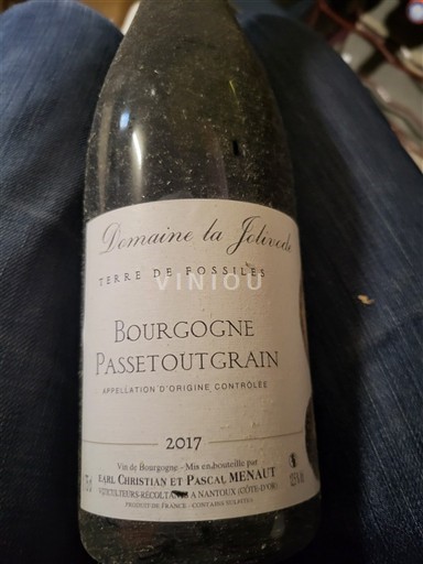 Burgundi Bourgogne-passetoutgrain Domaine La Juvinière Terre de Fossiles 2017