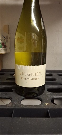 Linguadoca e Rossiglione Paese d'Oc Esprit Cépage 2022