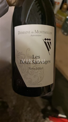 Neuchâtel Neuchâtel AOC Domaine Montmollin Les Deux Sauvages 2020
