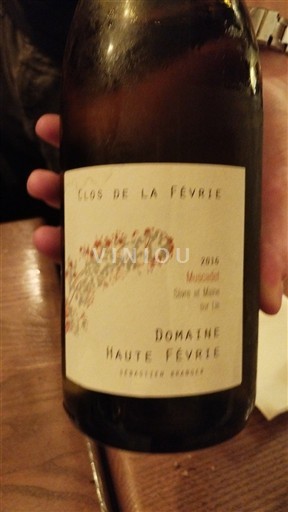 Valle del Loira No especificado Domaine Haute Févrie Clos de la Févrie 2016