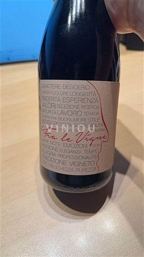 Piedmont Wines Piedmont Fra Le Vigne 2022