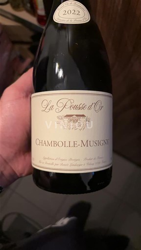 Borgonha Chambolle-Musigny La Pousse d'Or 2022