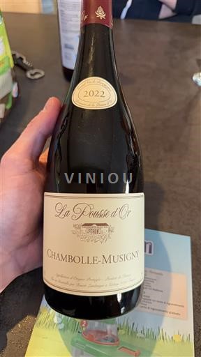 Burgundy Chambolle-Musigny La Pousse d'Or 2022