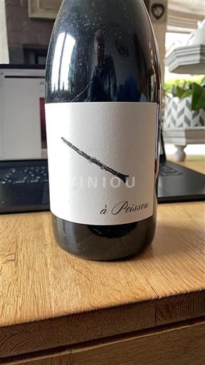 Languedoc Domaine Des Amiel À Peïssou 2020