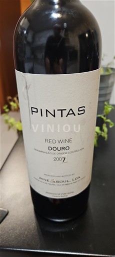 Douro Wine & Soul Pintas 2007