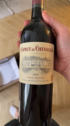 Bordeaux Pessac-Léognan Domaine Chevalier L'Esprit de Chevalier 2022