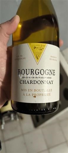 Burgundija Bourgogne Neleten.