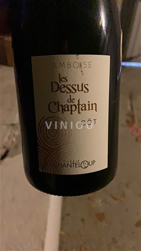 Loire-dalen Touraine-Amboise Domaine Chanteloup Les Dessus de Chaptain 2018