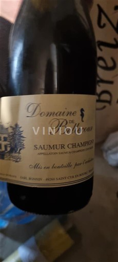 Loirevallei Saumur-champigny Domaine Bellecour Niet-geïntegreerd