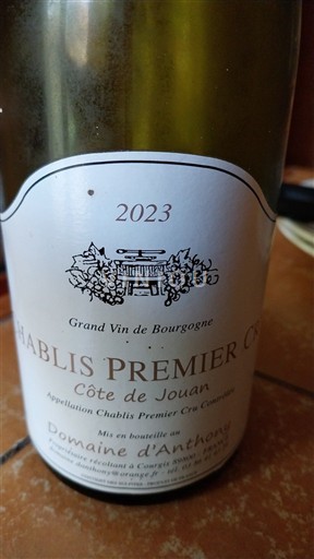Burgund Chablis Premier Cru Domaine Anthony Côte de Jouan 2023