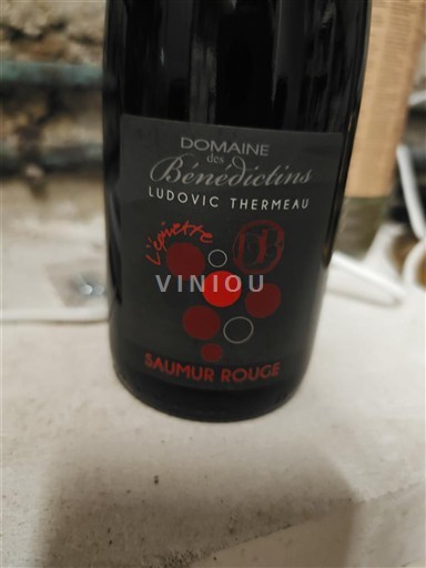 Údolí Loiry Saumur Domaine S Bénédictins L'invétéré 2023