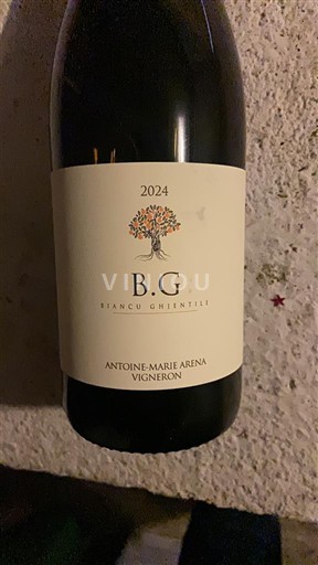 Korsika Antoine-Marie Arena B.G. Biancu Gentile 2024