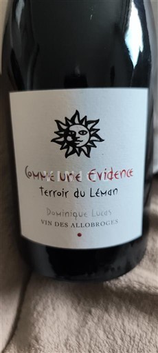 Alps and Rhodanian Region Wines of the Allobroges Dominique Lucas Comme une Evidence 2023